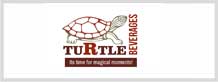 Turtle Pune