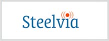steelvia-logo